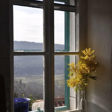 House On The Hill